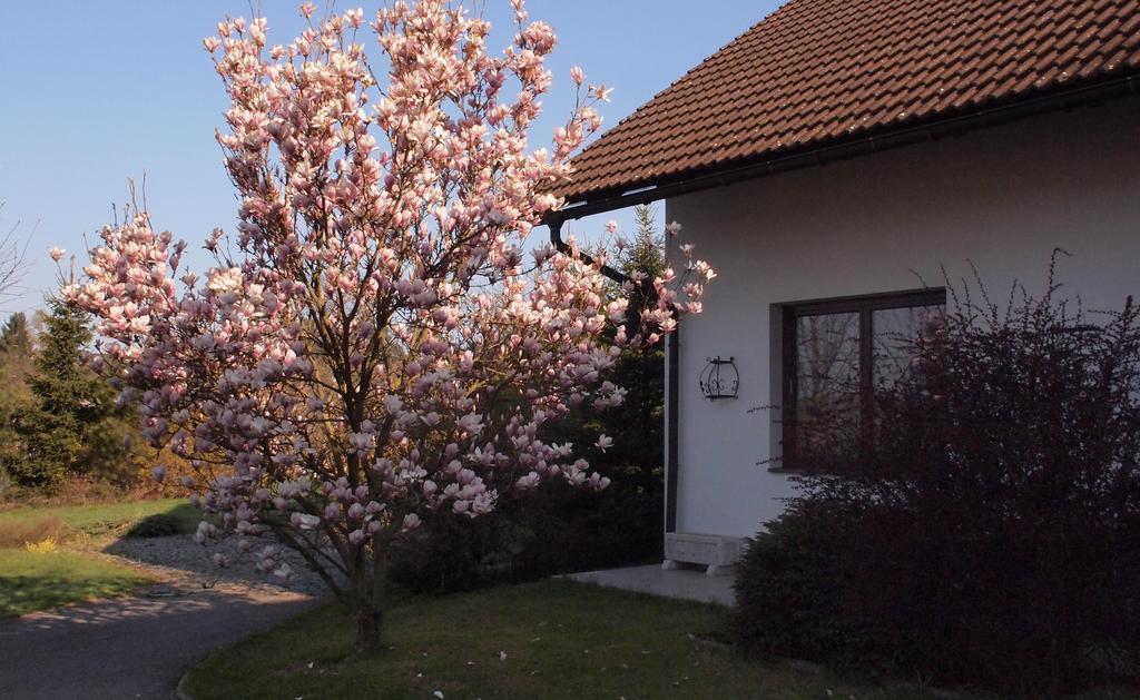 Apartmany Pod Kozakovem Tatobity Exterior photo